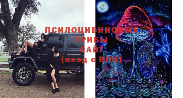гашик Горнозаводск