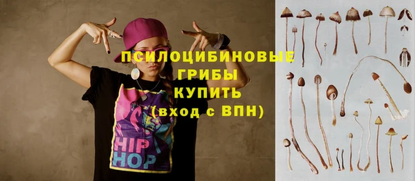 а пвп мука Горняк