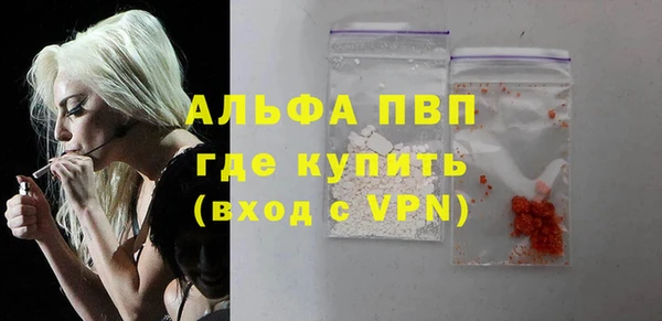 ГАЛЛЮЦИНОГЕННЫЕ ГРИБЫ Горно-Алтайск