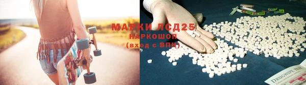 гашик Горнозаводск
