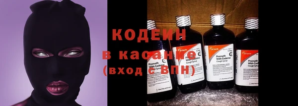 ГАЛЛЮЦИНОГЕННЫЕ ГРИБЫ Горно-Алтайск