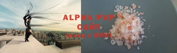 ГАЛЛЮЦИНОГЕННЫЕ ГРИБЫ Горно-Алтайск
