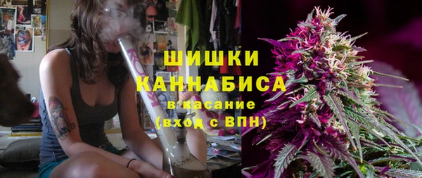 гашик Горнозаводск