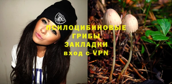 а пвп мука Горняк
