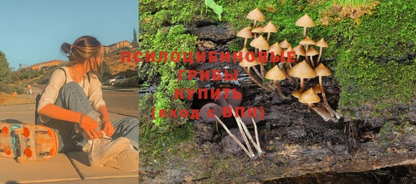 гашик Горнозаводск