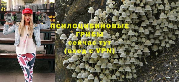 ГАЛЛЮЦИНОГЕННЫЕ ГРИБЫ Горно-Алтайск