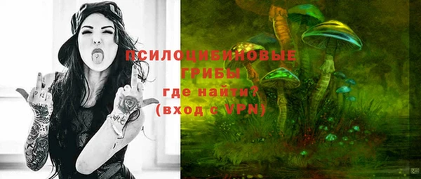 а пвп мука Горняк
