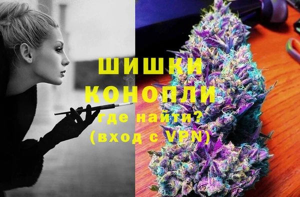 ГАЛЛЮЦИНОГЕННЫЕ ГРИБЫ Горно-Алтайск